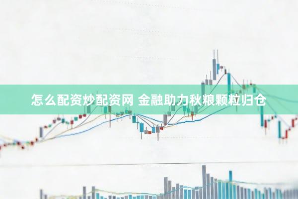 怎么配资炒配资网 金融助力秋粮颗粒归仓