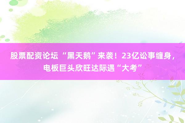 股票配资论坛 “黑天鹅”来袭！23亿讼事缠身，电板巨头欣旺达际遇“大考”